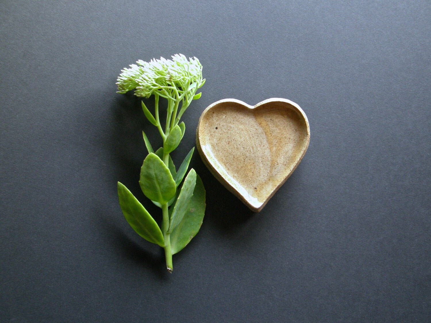 Plat de Coeur, Céramique Faite à La Main