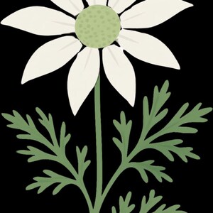 Transparent Native Foliage Downloads, Floral Clipart, DIY Bouquet, Botanical Graphics