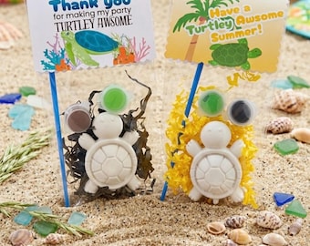 Turtle Paint Kits