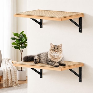 May include: Two rectangular wall-mounted cat shelves featuring light-colored wooden frames and textured tan woven surfaces, supported by black metal brackets. A long-haired brown and grey tabby cat is lying on the lower shelf.