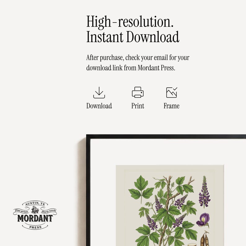May include: A framed botanical print featuring a detailed illustration of a flowering plant with green leaves and purple flowers. The print is set against a cream background and includes the text "High-resolution. Instant Download". The Mordant Press logo is in the lower left corner.