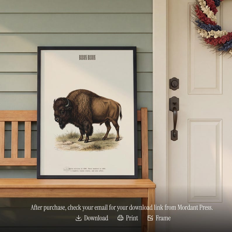 Pode incluir: Uma impress&atilde;o emoldurada com uma ilustra&ccedil;&atilde;o de um bisonte, intitulada "BISON BISON". A obra de arte mostra o animal em tons de castanho e bege. A impress&atilde;o &eacute; exibida em um banco de madeira. O texto na parte inferior diz "Ap&oacute;s a compra, verifique seu e-mail para obter o link de download da Mordant Press."