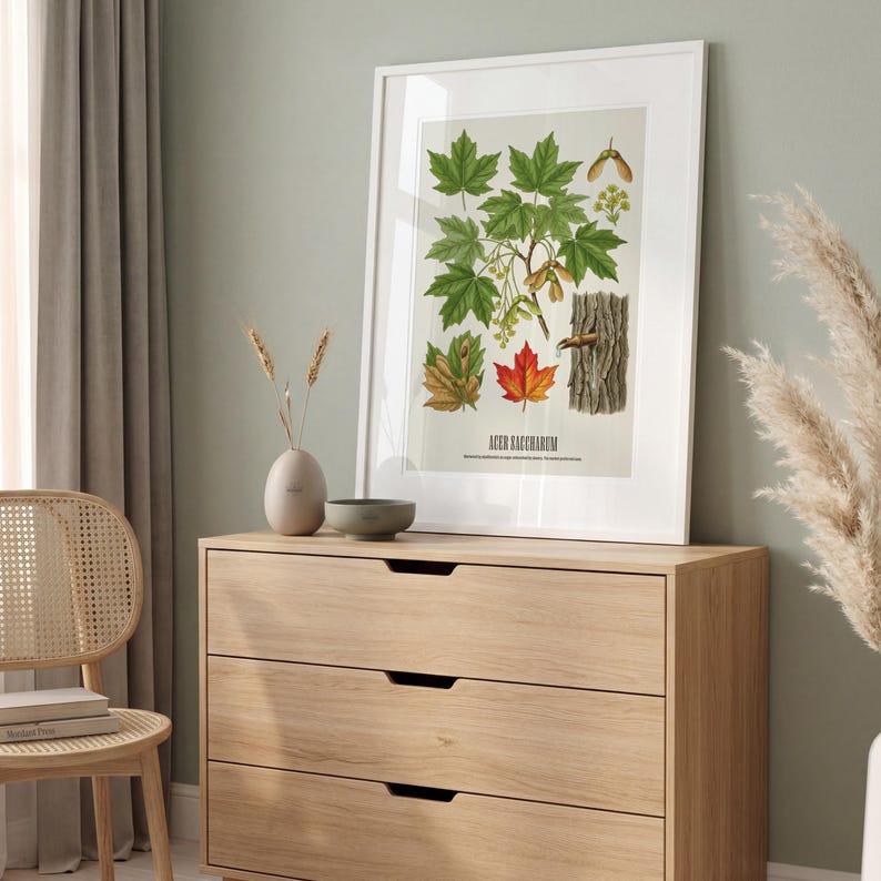 May include: A framed botanical print featuring detailed illustrations of maple leaves, seeds, and bark. The artwork showcases various leaf colors, from vibrant green to autumnal red and brown. The print is displayed on a light wood dresser, with a neutral-toned background.