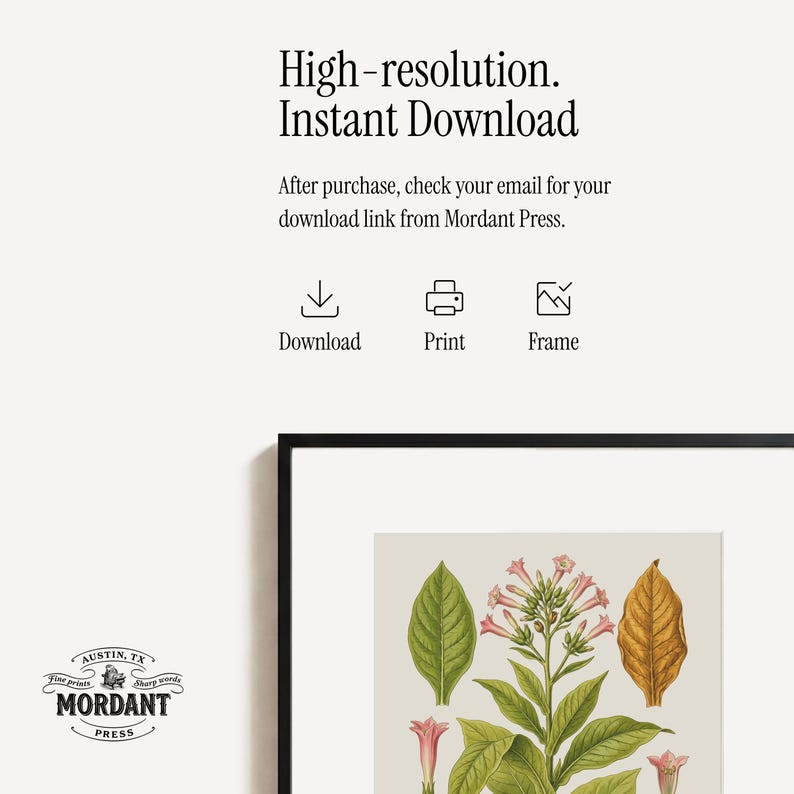 May include: A framed botanical print with a detailed illustration of a plant with green leaves, pink flowers, and a golden-brown leaf. The print is in a black frame and includes the text "High-resolution. Instant Download."
