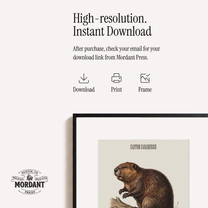 Pode incluir: Impress&atilde;o emoldurada com uma ilustra&ccedil;&atilde;o de castor, rotulada como "Castor Canadensis". A impress&atilde;o tem um fundo neutro e o texto "High-resolution. Instant Download." Download imediato.