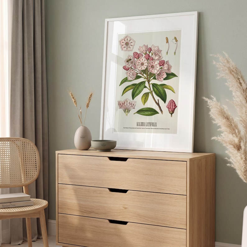 Pode incluir: Uma impress&atilde;o bot&acirc;nica emoldurada com uma ilustra&ccedil;&atilde;o detalhada de flores de Kalmia Latifolia. A obra de arte apresenta flores rosa e brancas com folhas verdes, em um fundo claro. A impress&atilde;o est&aacute; em uma moldura branca e repousa sobre uma c&ocirc;moda de madeira.