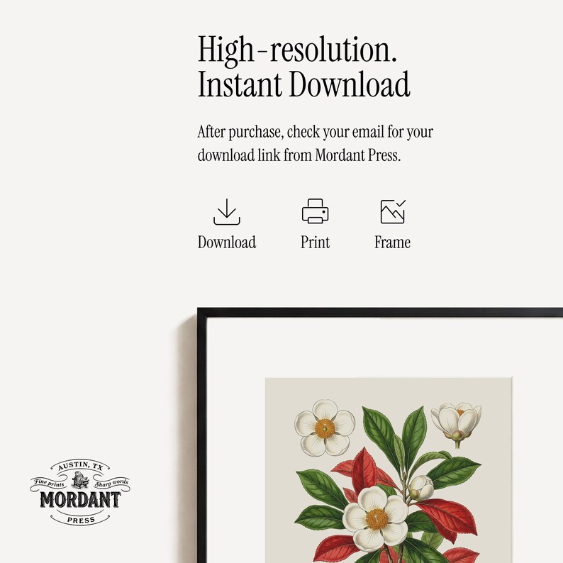 May include: A framed botanical print featuring white flowers with yellow centers, green leaves, and red accents. The print is set against a neutral background and is labeled "High-resolution. Instant Download." The Mordant Press logo is in the lower left corner.