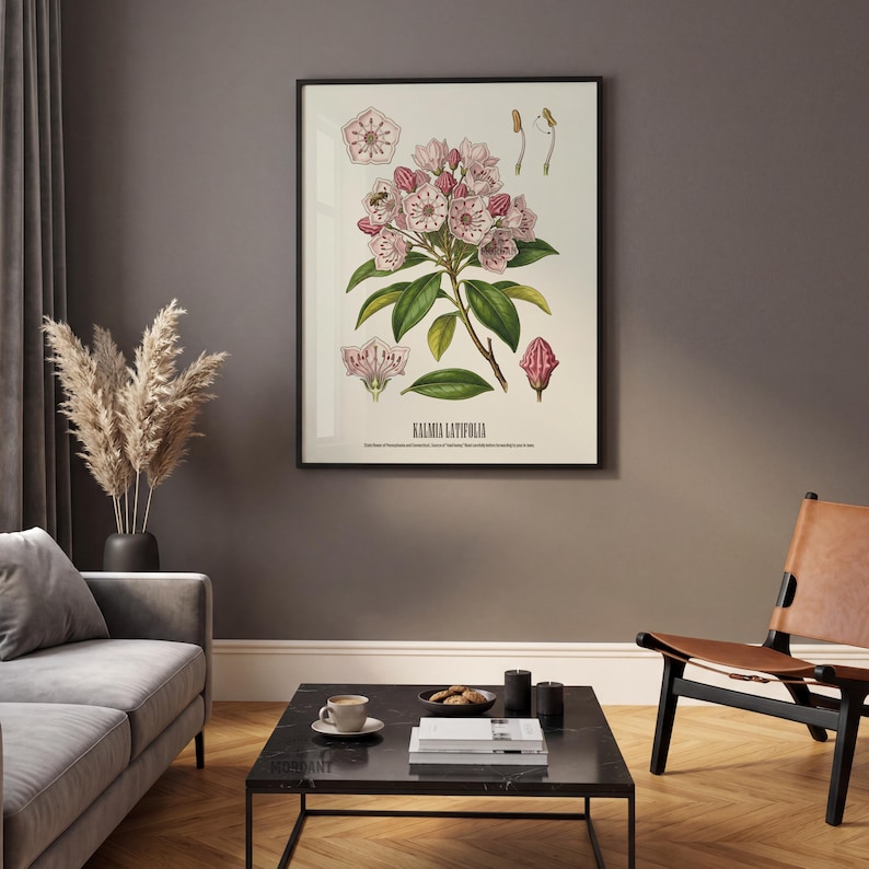 Pode incluir: Uma impress&atilde;o bot&acirc;nica emoldurada com uma ilustra&ccedil;&atilde;o detalhada de Kalmia Latifolia, comumente conhecida como loureiro da montanha. A obra de arte apresenta flores rosa, folhas verdes e diagramas bot&acirc;nicos. A impress&atilde;o est&aacute; em uma moldura preta.