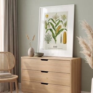 May include: A framed botanical print of corn, labeled "Zea Mays," displayed on a light wood dresser. The print features detailed illustrations of corn plants, including stalks, leaves, and kernels, in shades of green and yellow. A vase and bowl are on the dresser.