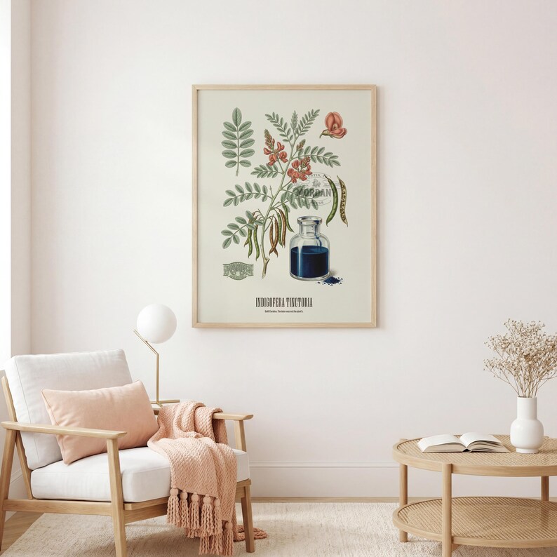 May include: A framed botanical print depicting Indigofera Tinctoria, with detailed illustrations of leaves, flowers, and seed pods. A glass bottle containing blue liquid is also shown. The print is in a light wood frame.