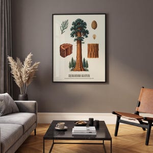 May include: A framed botanical print featuring a detailed illustration of a giant sequoia tree, with labeled diagrams of its parts. The artwork includes a cross-section of the trunk, bark, and a pine cone. The text "SEQUOIADENDRON GIGANTEUM" is displayed at the bottom.