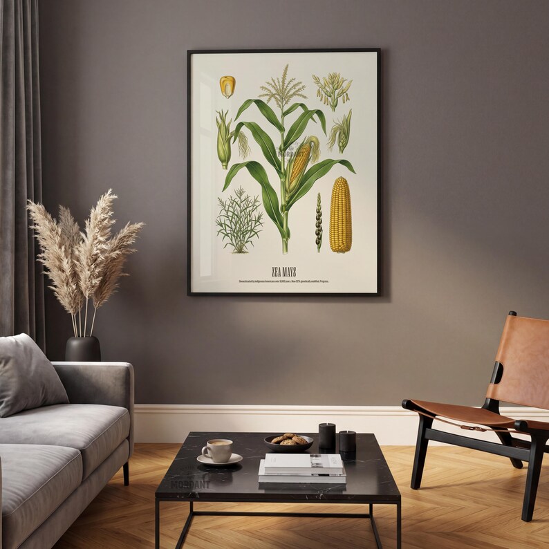 May include: A framed botanical print featuring detailed illustrations of corn plants, including stalks, ears, and kernels. The artwork showcases a vintage style with green, yellow, and brown hues, and the text "ZEA MAYS" is visible at the bottom.