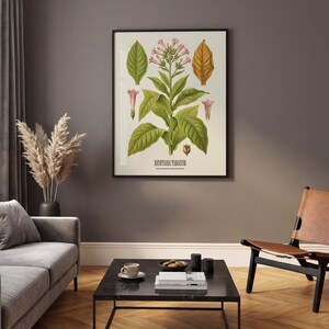 May include: A framed botanical print depicting a Nicotiana Tabacum plant. The print showcases detailed illustrations of the plant's leaves, flowers, and seed pods in green, pink, and yellow hues. The text "Nicotiana Tabacum" is printed at the bottom.