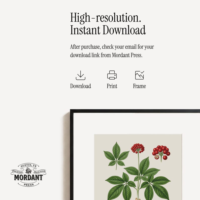 May include: A framed botanical print featuring a detailed illustration of a plant with green leaves and red berries. The print is labeled "High-resolution. Instant Download" and includes the Mordant Press logo.