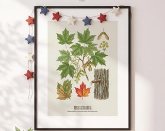 Gravura de bordo-açucareiro, arte de parede botânica vintage com tema de árvore, abolicionista sarcástico