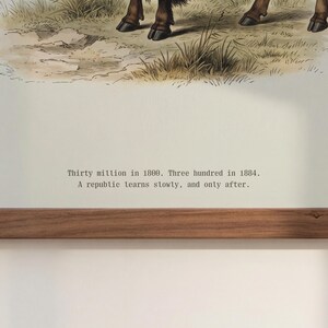 Pode incluir: Uma impress&atilde;o em estilo antigo com uma ilustra&ccedil;&atilde;o detalhada de patas de animais num campo. A obra de arte inclui o texto: "Thirty million in 1800. Three hundred in 1884. A republic learns slowly, and only after."
