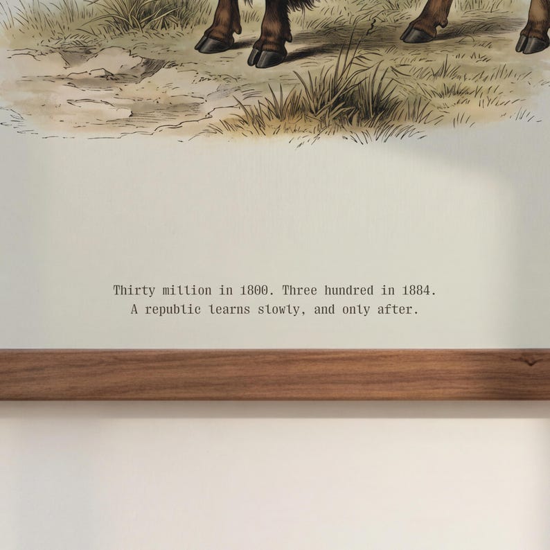 Pode incluir: Uma impress&atilde;o em estilo antigo com uma ilustra&ccedil;&atilde;o detalhada de patas de animais num campo. A obra de arte inclui o texto: "Thirty million in 1800. Three hundred in 1884. A republic learns slowly, and only after."