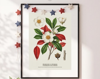 Presente para Amantes de História, Impressão Botânica da Árvore Franklin, Pôster Floral Vintage Divertido, Natureza Sarcástica