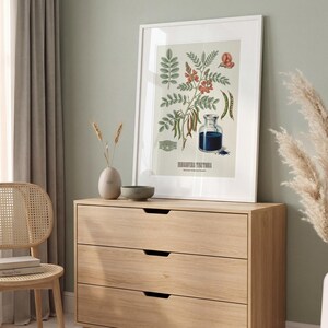 May include: A framed botanical print depicting Indigofera Tinctoria, showcasing detailed drawings of leaves, flowers, and a bottle of indigo dye. The print is in a white frame and rests on a light wood chest of drawers.