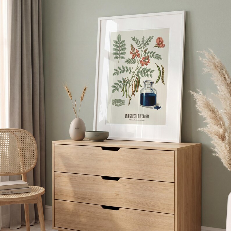 May include: A framed botanical print depicting Indigofera Tinctoria, showcasing detailed drawings of leaves, flowers, and a bottle of indigo dye. The print is in a white frame and rests on a light wood chest of drawers.