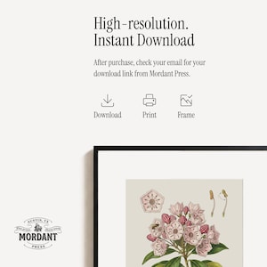 Pode incluir: Uma impress&atilde;o bot&acirc;nica emoldurada com uma borda preta, apresentando uma ilustra&ccedil;&atilde;o detalhada de flores rosa e folhas verdes. A impress&atilde;o inclui o texto "High-resolution. Instant Download."