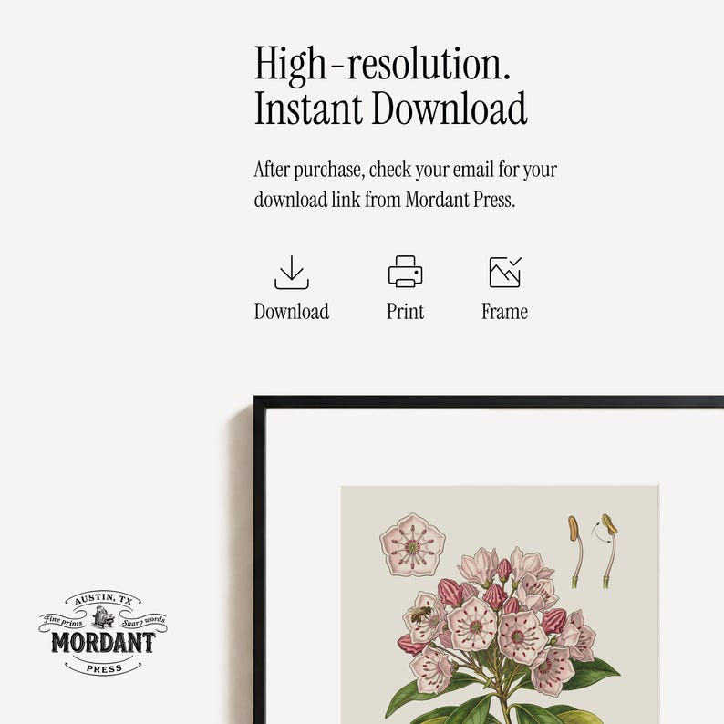 Pode incluir: Uma impress&atilde;o bot&acirc;nica emoldurada com uma borda preta, apresentando uma ilustra&ccedil;&atilde;o detalhada de flores rosa e folhas verdes. A impress&atilde;o inclui o texto "High-resolution. Instant Download."