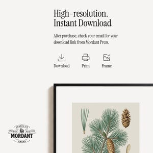 May include: A framed botanical print featuring a detailed illustration of pine needles and cones in shades of green and brown. The print is set against a neutral background and includes the text "High-resolution. Instant Download."