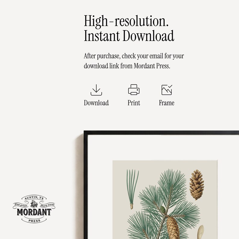 May include: A framed botanical print featuring a detailed illustration of pine needles and cones in shades of green and brown. The print is set against a neutral background and includes the text "High-resolution. Instant Download."