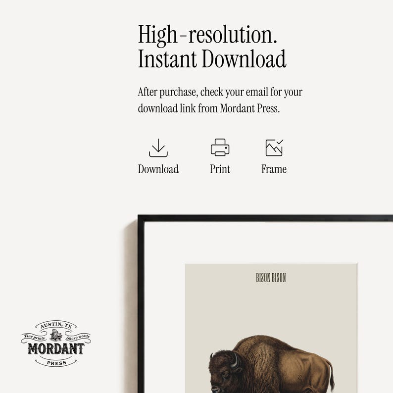 Pode incluir: Uma impress&atilde;o art&iacute;stica emoldurada com uma ilustra&ccedil;&atilde;o detalhada de um bisonte. A impress&atilde;o &eacute; rotulada "BISON BISON" e inclui o texto "High-resolution. Instant Download." O logotipo da Mordant Press est&aacute; no canto inferior esquerdo.