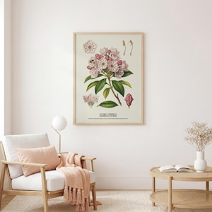 Pode incluir: Uma impress&atilde;o bot&acirc;nica emoldurada com uma ilustra&ccedil;&atilde;o detalhada de Kalmia Latifolia, ou loureiro da montanha, com flores rosa e brancas e folhas verdes. A impress&atilde;o est&aacute; em uma moldura de madeira clara, adequada para decora&ccedil;&atilde;o de casa.