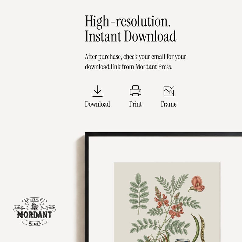 May include: Framed botanical print with a black border. The print showcases a detailed illustration of a plant with red flowers and green leaves. Text at the top reads "High-resolution. Instant Download." The Mordant Press logo is in the lower left corner.