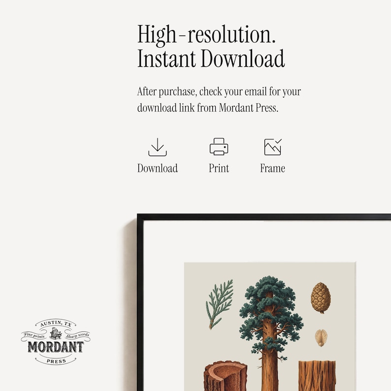 May include: A framed botanical print featuring illustrations of a tree, a pine cone, and other plant elements. The print has a neutral background and is labeled "High-resolution. Instant Download." The Mordant Press logo is in the lower left corner.