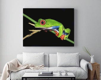 Red-Eyed Tree Frog Wall Art, Metal Print, Colored Pencil Drawing Artwork