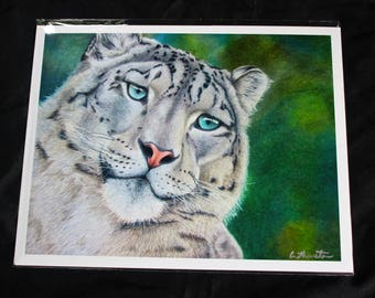 Snow Leopard Colored Pencil Drawing - PRINT