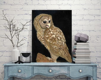 Spotted Owl Wildlife Bird Wall Art, Bird Artwork, Colored Pencil Drawing, Metal Print