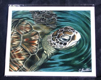 Sea Turtle Colored Pencil Drawing - PRINT