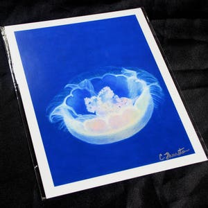 Jellyfish Colored Pencil Drawing - PRINT