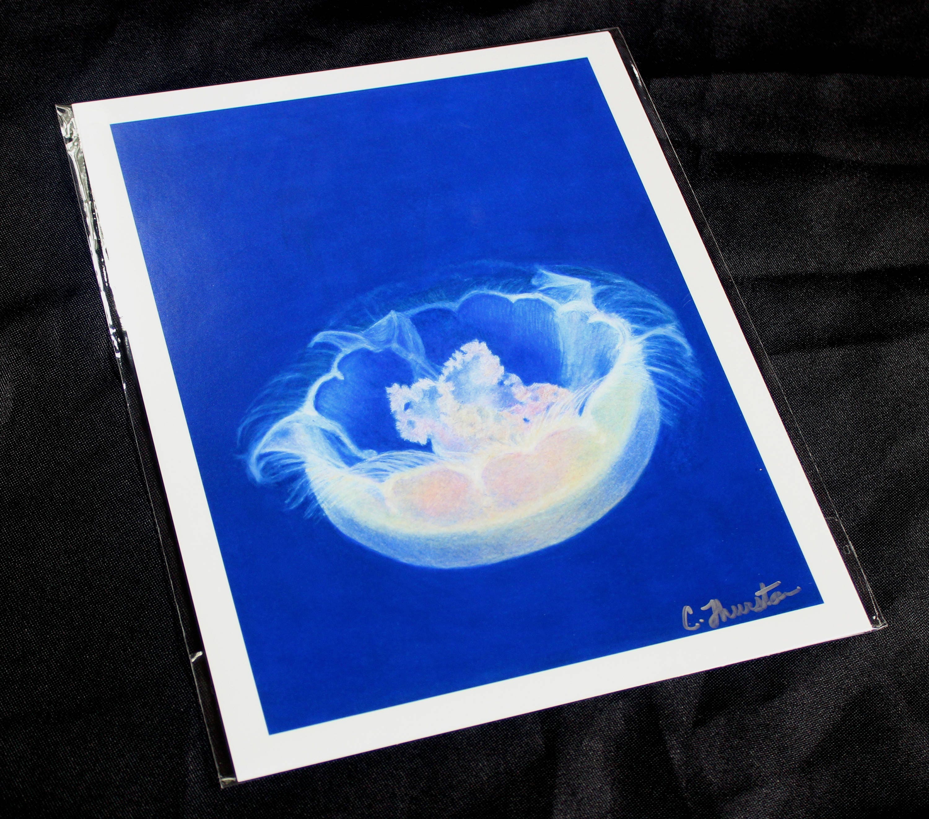 Jellyfish Colored Pencil Drawing - PRINT - Etsy