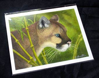 Cougar Colored Pencil Drawing - PRINT