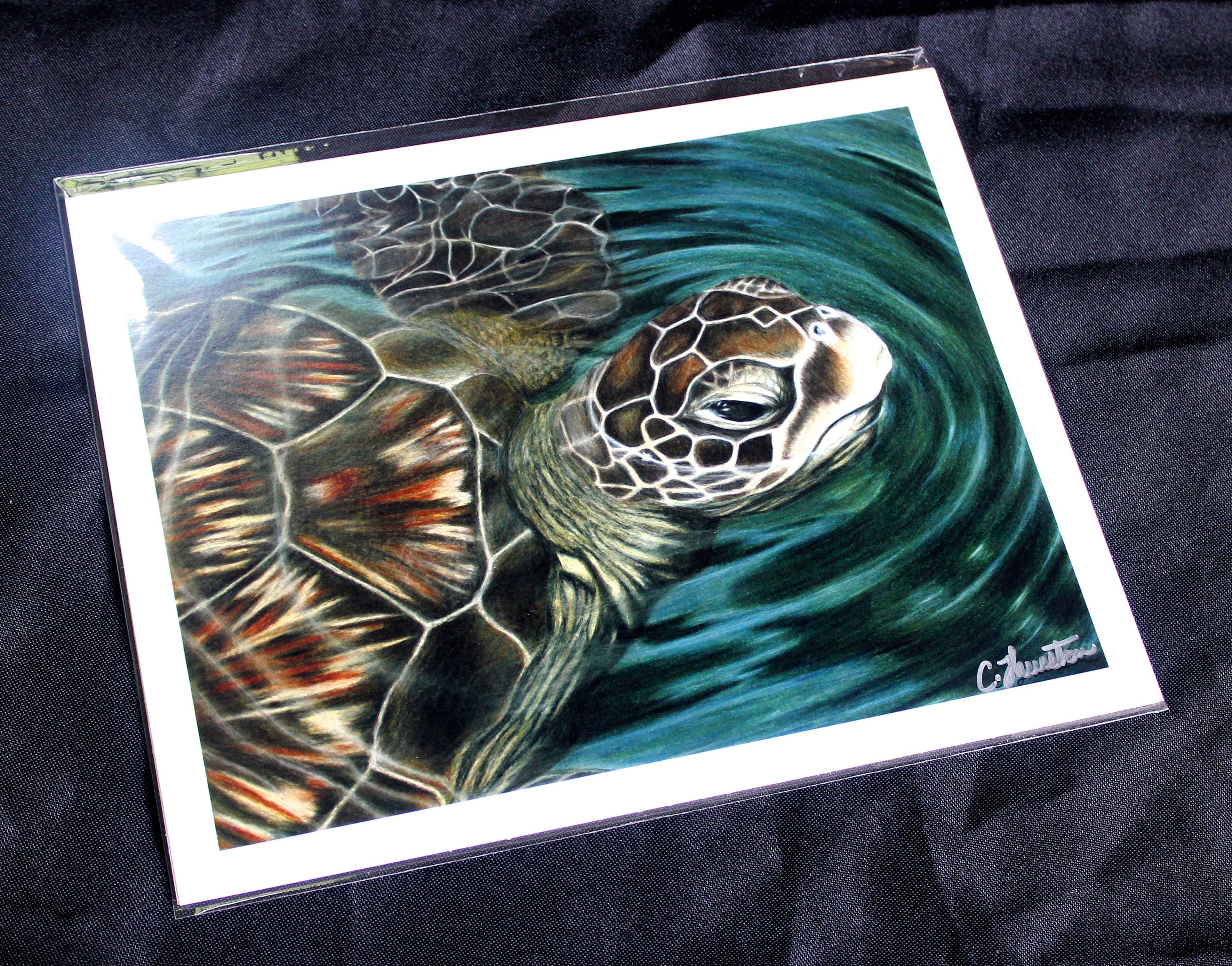 Sea Turtle Colored Pencil Drawing PRINT - Etsy