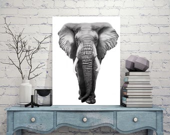 Elephant Metal Print - African Elephant Graphite Drawing - Colored Pencil Drawing