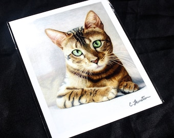 Bengal Cat Colored Pencil Drawing - PRINT
