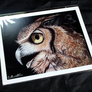 Horned Owl Colored Pencil Drawing - PRINT