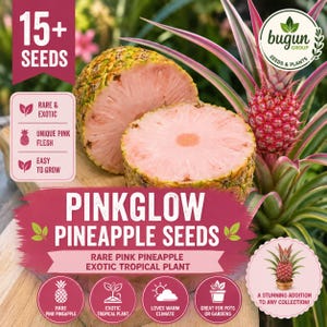 Puede incluir: Semillas de piña Pinkglow con una piña cortada de pulpa rosa y una pequeña planta de piña rosa. El texto incluye 15+ SEEDS, RARE & EXOTIC, UNIQUE PINK FLESH, EASY TO GROW, PINKGLOW PINEAPPLE SEEDS, RARE PINK PINEAPPLE y EXOTIC TROPICAL PLANT.