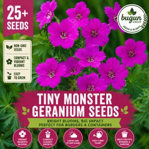 May include: A packet of Tiny Monster Geranium seeds featuring vibrant magenta flowers with five petals and dark centers. The packaging includes text stating 25+ seeds, non-GMO, compact and vibrant blooms, and easy to grow, set against green foliage.