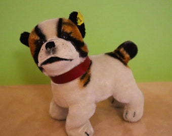 Steiff Bulldog Bully, art allemand et jouet de collection, 17 cm de cou articulé, taille de poupée avec pièces d'identité, v. EXC, 1968 - 1974