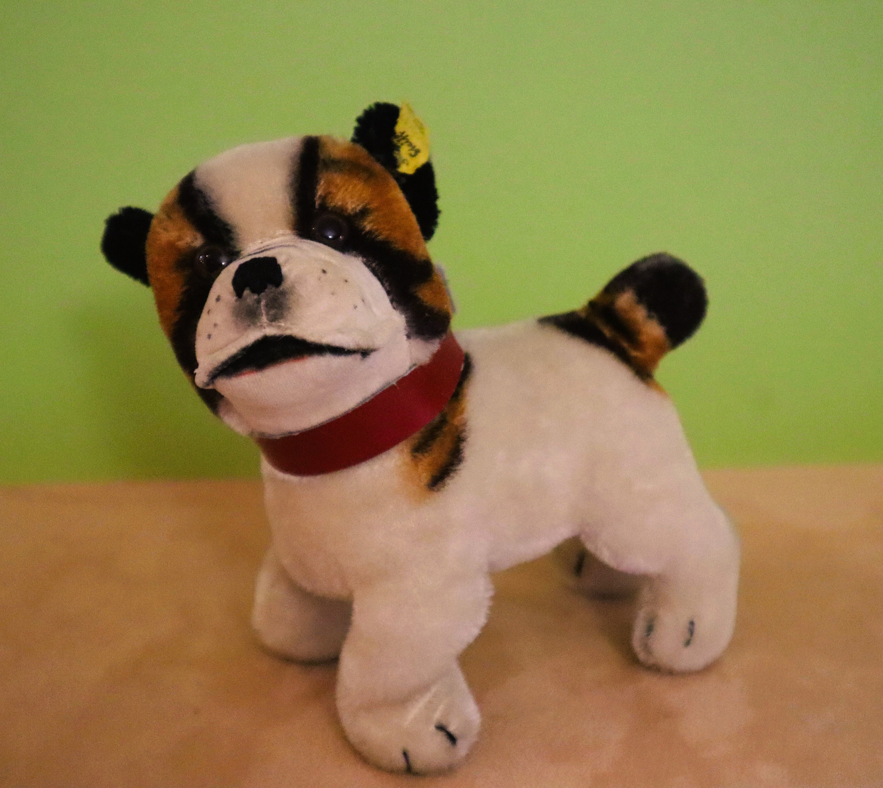 Steiff Vintage Black and White Bully Bulldog Circa 1927