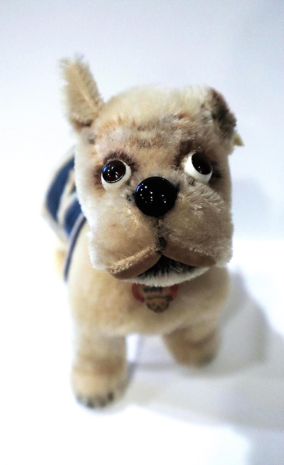 Steiff Bully Bulldog Yale Mascot Dog,all Ids 1957 (only),exc,14cm