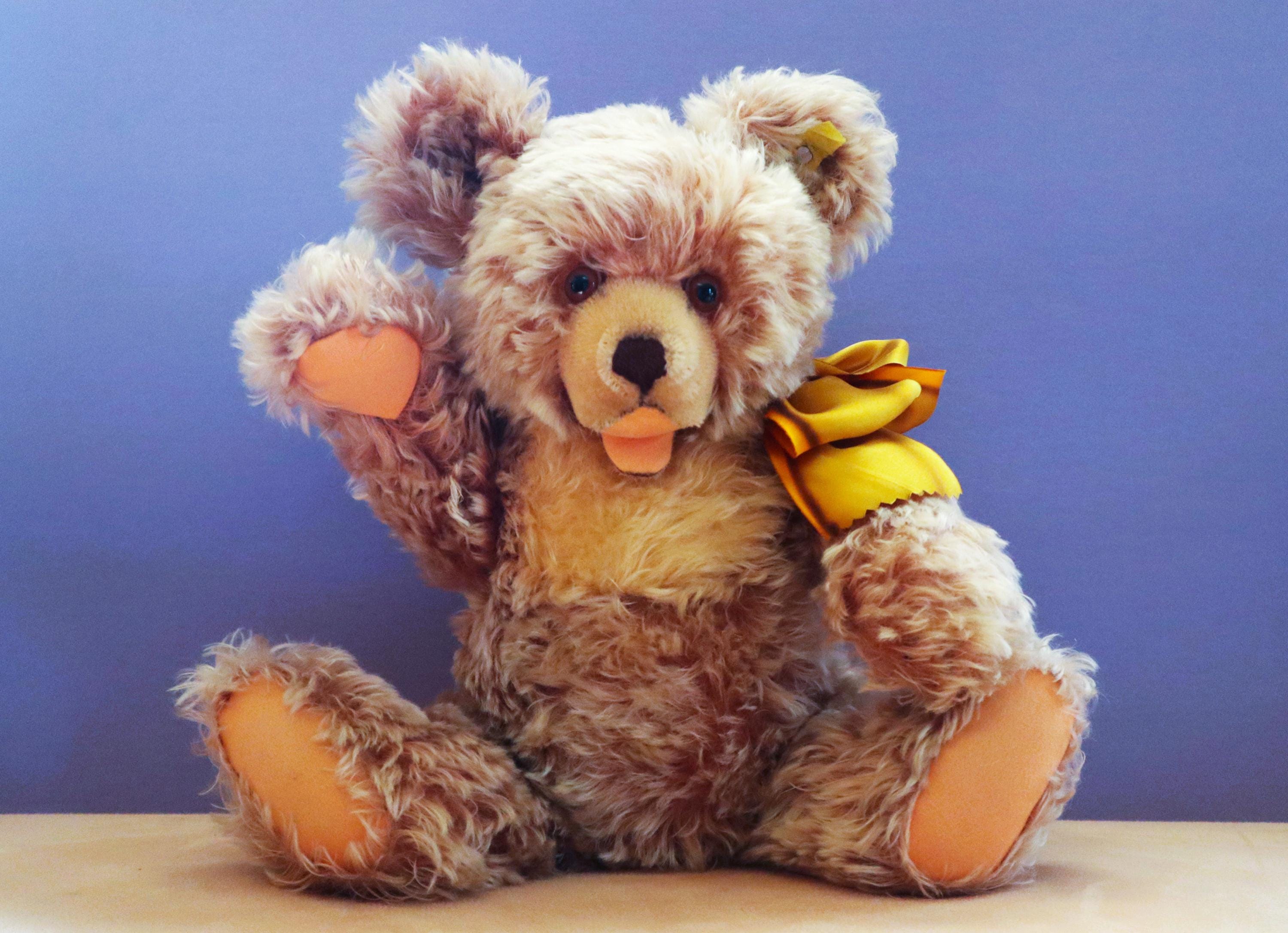 Steiff zotty bear - Etsy 日本