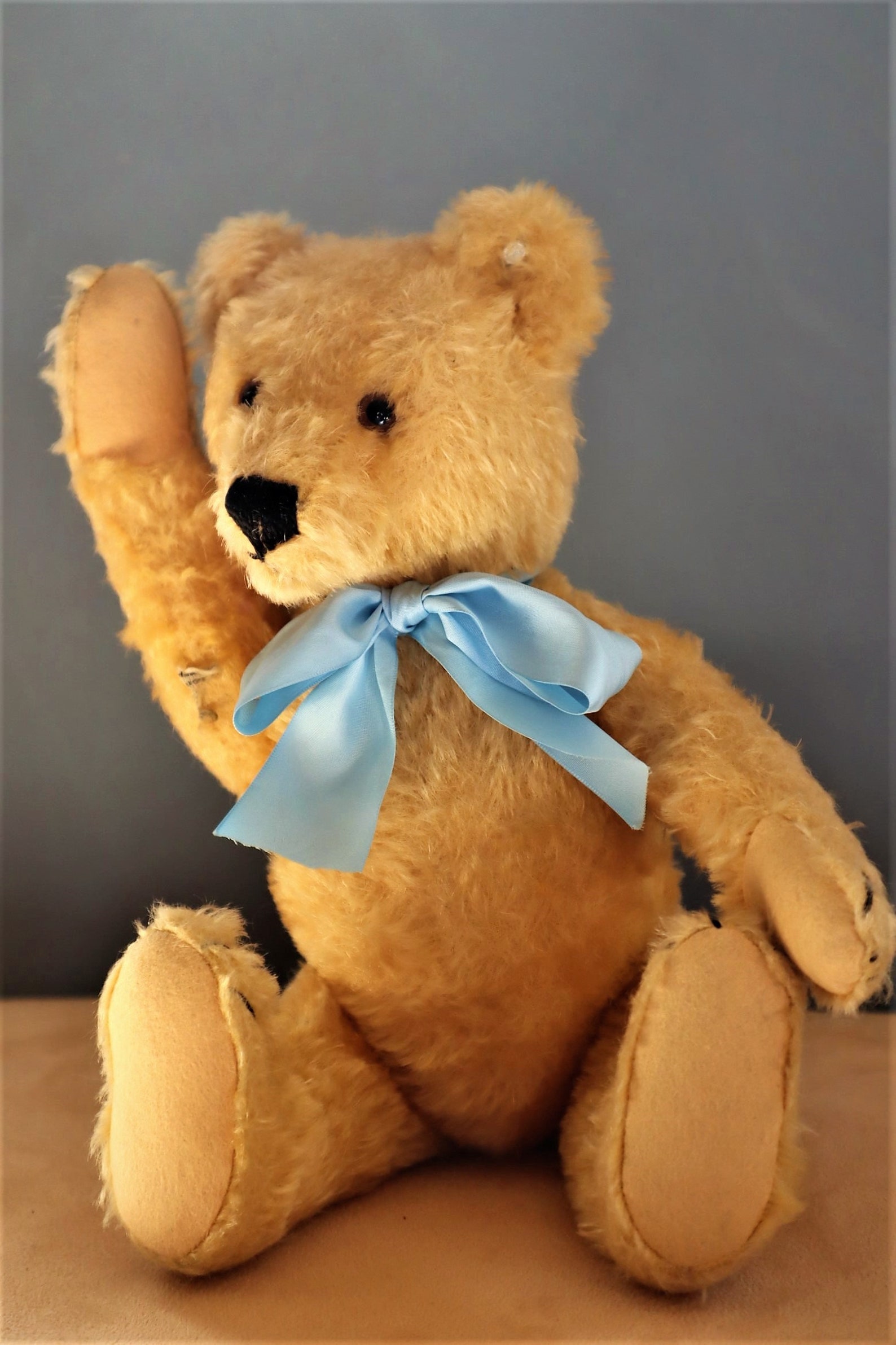 US Zone Tagged Early Vintage Steiff Original Teddy Bear w/ IDs, 1950-1953 Art and Collectibles Toy 13